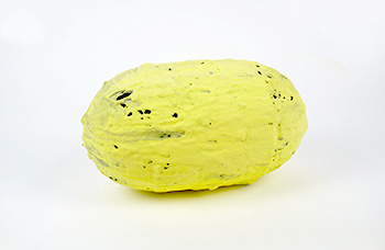 Slight Incident (Been)