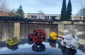 Still Alive on a Car Roof (After Nash)