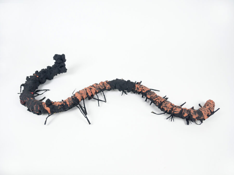 Slight Incident (Werm)