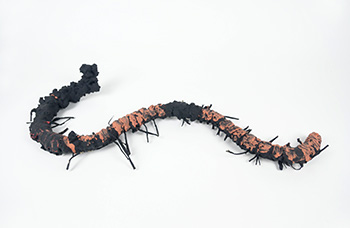 Slight Incident (Werm)